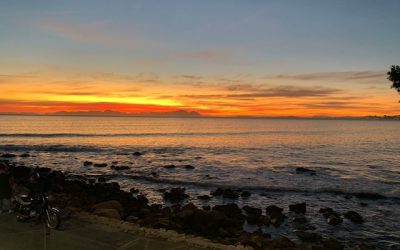 Stimulerende middelen